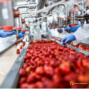 Food Processing